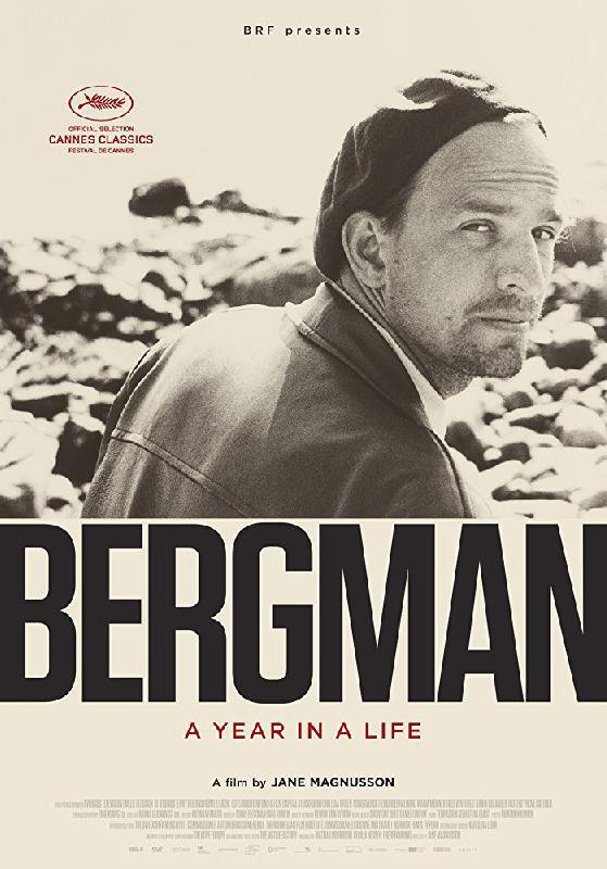 Bergman - Ett år ett liv