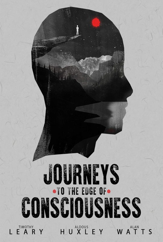 Journeys to the Edge of Consciousness