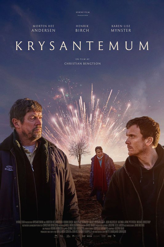 Krysantemum