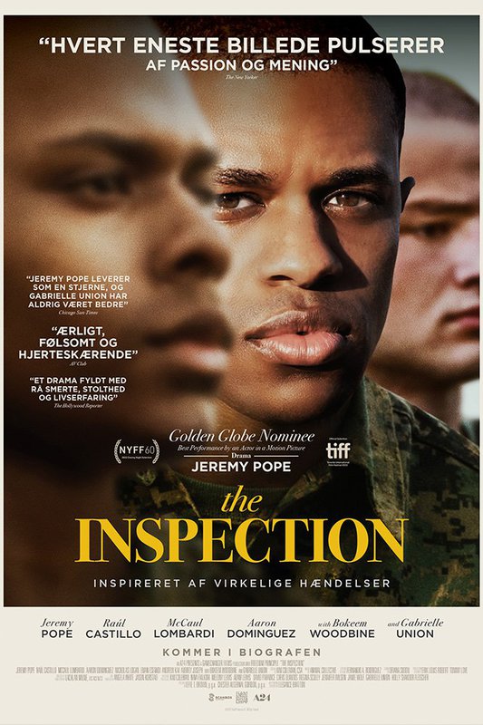 The Inspection