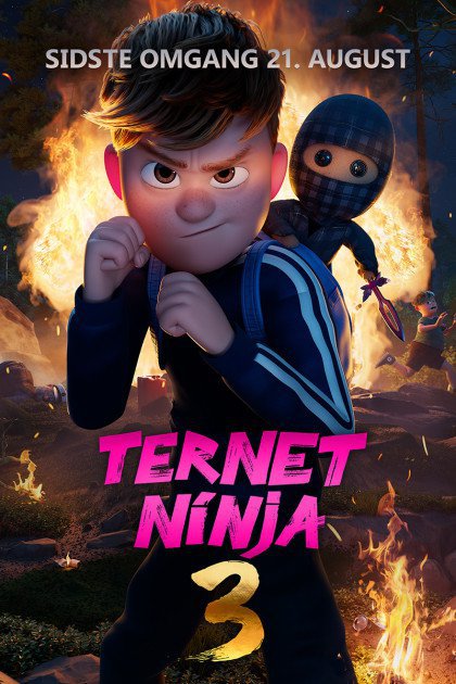 Ternet Ninja 3