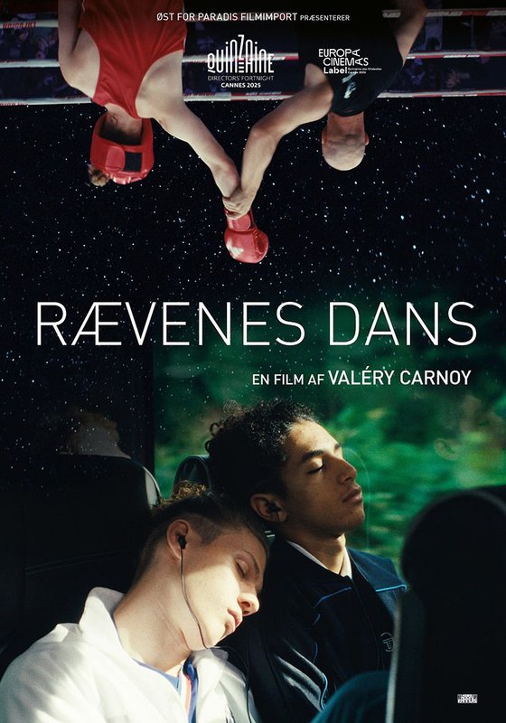 La danse des renards