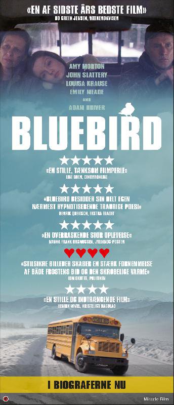 Bluebird