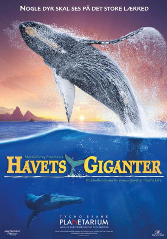 Havets Giganter - Pukkelhvalernes Liv