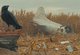 video still 3