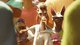 video still 2