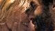video still 1